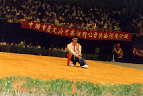 Shifu Alan Tinnion demonstrating the art of Wuji before a mass audience at the China Games